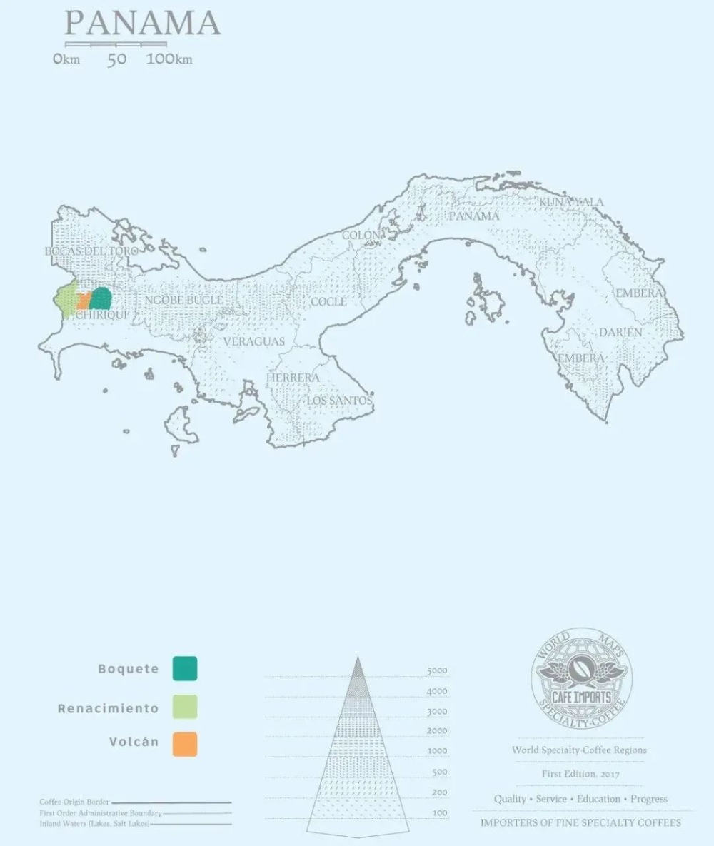 Panama Nueva Guayabal Estate Geisha: How a Niche Region Produces Premium Washed Flavors?