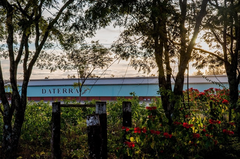 Characteristics of the Brazilian Minas Gerais Coffee Region and the Cultivation Secrets of Fazenda Daterra