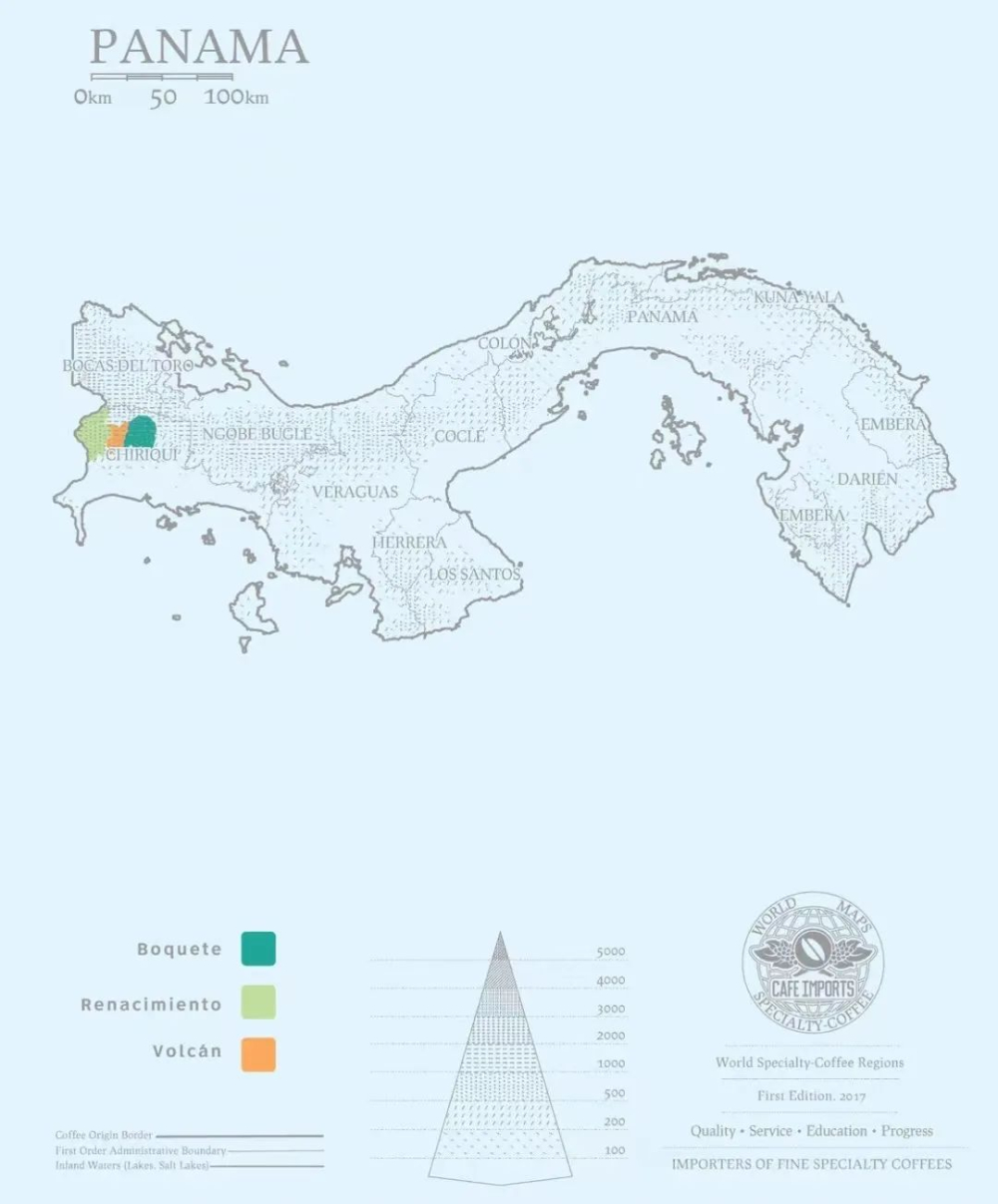 Flavor Profile of Panama Donkey Estate Geisha | Sun-Drying Techniques & Cupping Notes