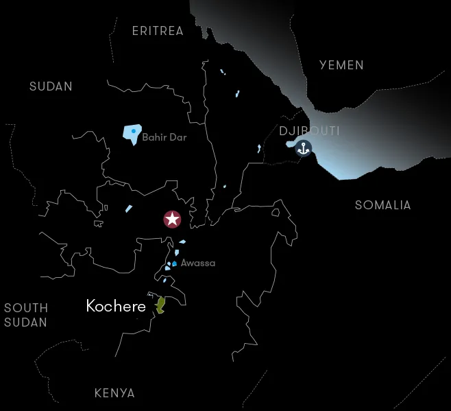 A Complete Guide to Yirgacheffe Guddina Coffee: Region, Flavor, and Pour Over Recommendations