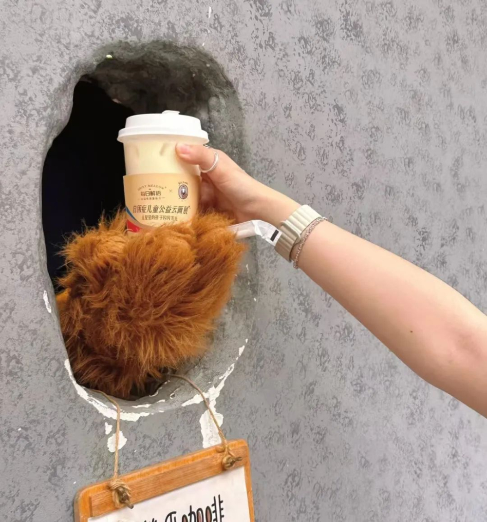 Analysis of the Operational Status of Shanghai's First Bear Claw Coffee Store: Balancing Charitable Intent with Market Challenges