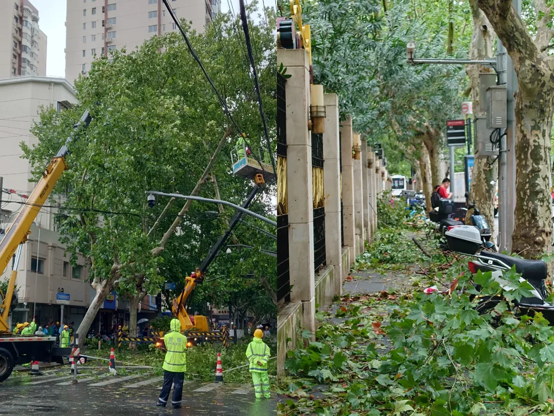 Shanghai residents keep drinking coffee even during a typhoon day!
(Live reports from coffee shops after Typhoon Bebinca)