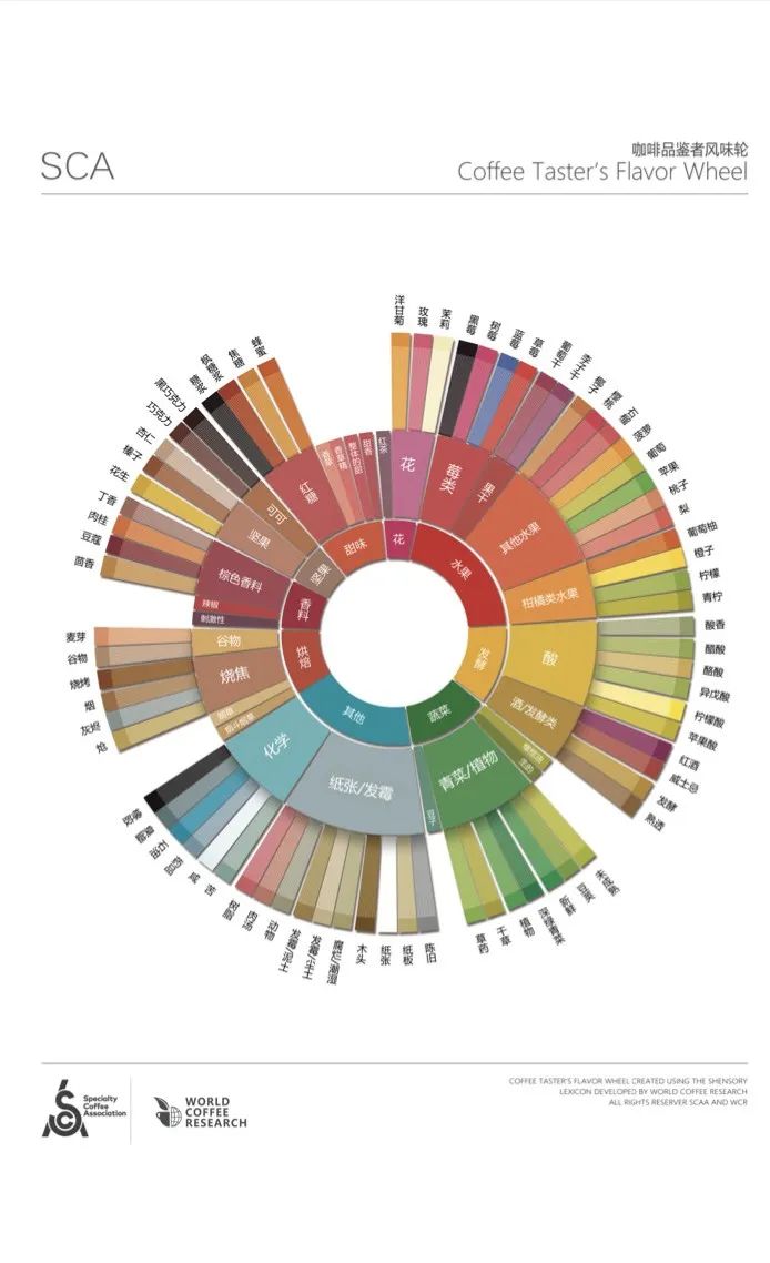 Analysis of the 2016 SCA New Coffee Taster’s Flavor Wheel | A Sensory System Endorsed by 72 Experts and a High-Definition Chinese Version