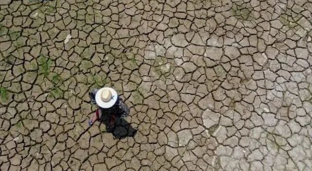 Drought and wildfires ravage Brazil!
Coffee-growing regions face unprecedented challenges and risks