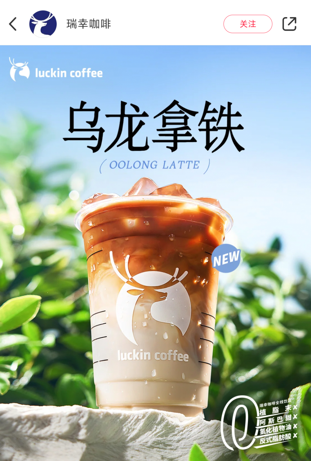 Luckin’s Oolong Latte sparks “fat-burning” buzz — why is the tea-coffee combo becoming a gut cleanser?