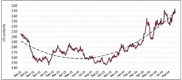 Behind the Soaring Price of Robusta: Challenges and Risks in the 2024 Global Coffee Supply Chain
