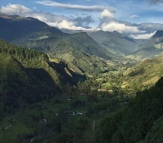 A Complete Guide to Colombian Coffee Regions: Antioquia’s Zacate & the Secrets of Micro-Lot Flavors