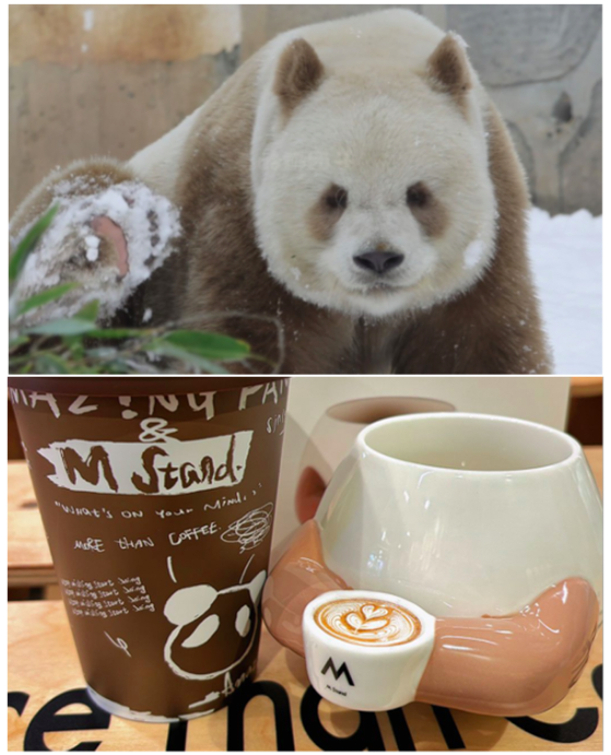 The Mstand Panda Collaboration Cup Sparks Ongoing Controversy: A Full Breakdown of Design Mishaps and Plagiarism Allegations