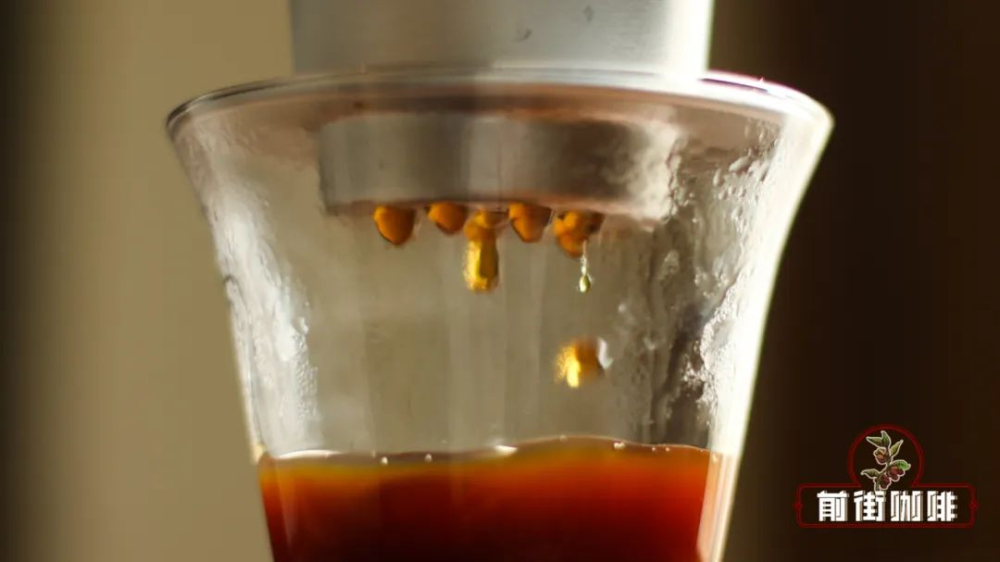 Essential Guide to Vietnamese Coffee: Characteristics of Robusta Beans and How to Make Drip Coffee with Sweetened Condensed Milk