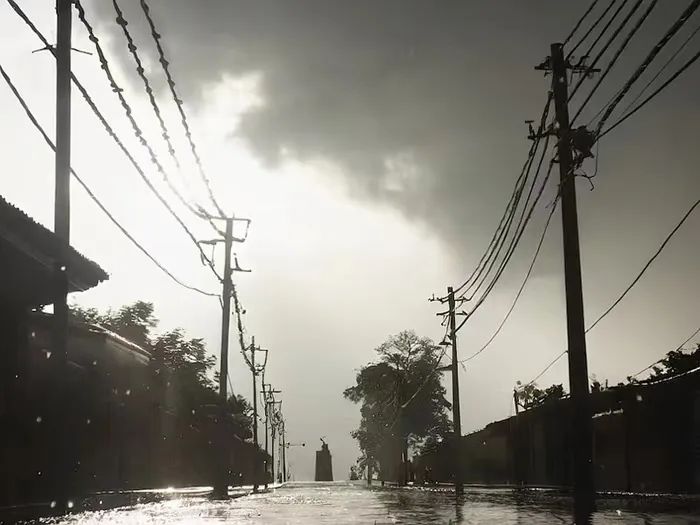 Hurricane John Devastates Mexico’s Coffee Belt: Production Crisis in the 2024/25 Season and Global Market Ripple Effects