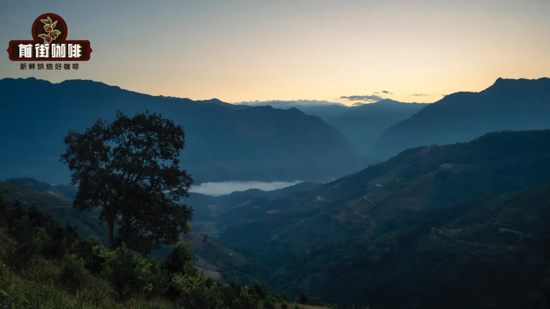 What is the terroir flavor of specialty coffee? How do soil, climate, and altitude influence coffee flavors?
