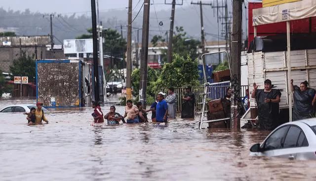 Hurricane John Devastates Mexico’s Coffee Belt: Production Crisis in the 2024/25 Season and Global Market Ripple Effects