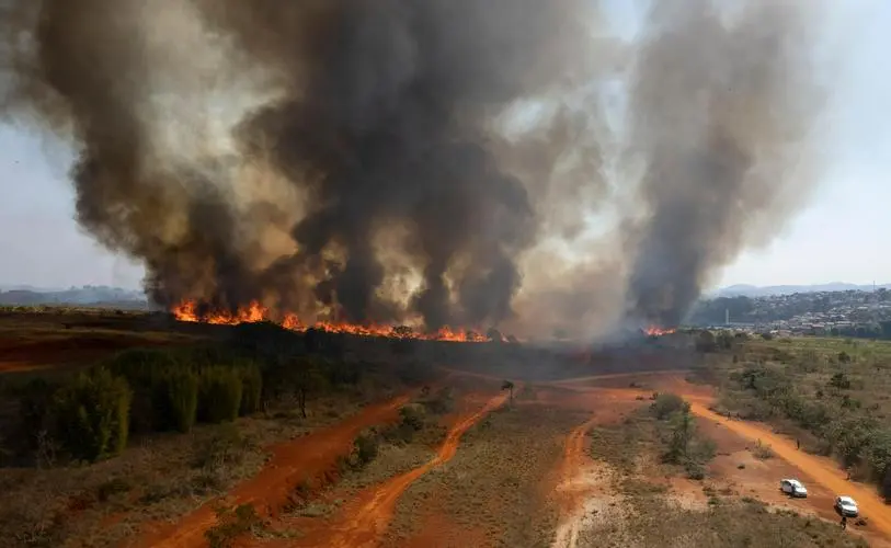Brazil hit by drought and fires: 2025 coffee harvest may be delayed until 2027, exports down and prices soar