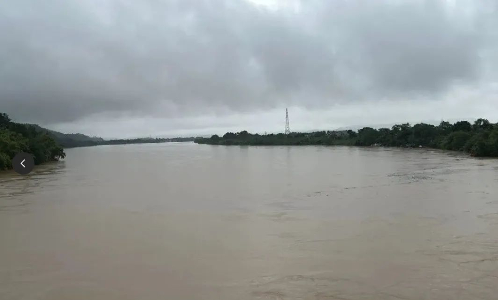 Vietnam's coffee-growing regions hit by successive floods and droughts, Robusta prices expected to rise through 2025