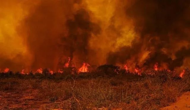 Drought and wildfires ravage Brazil!
Coffee-growing regions face unprecedented challenges and risks