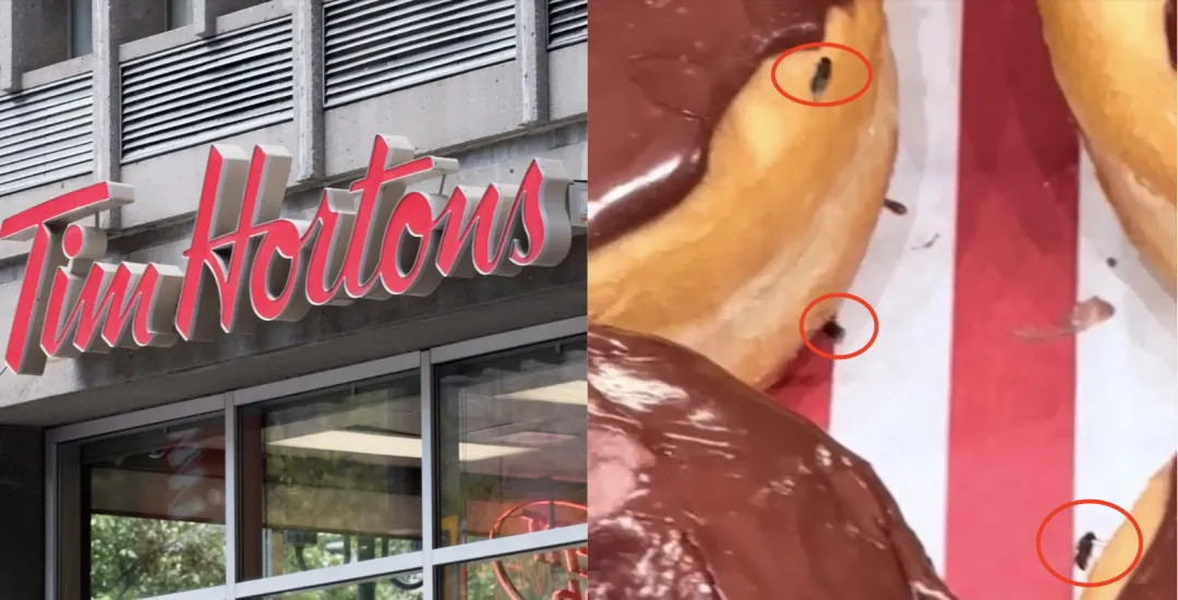 Tim Hortons food safety and staff misconduct controversy: Behind the moldy sandwich and saliva experiment