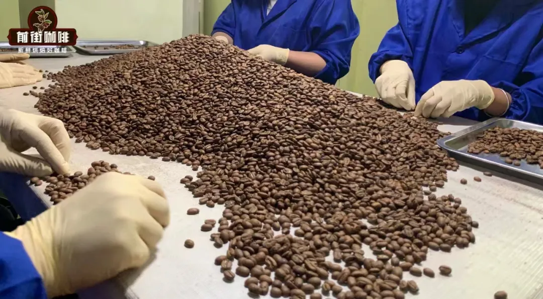 A Complete Guide to Classifying Green Coffee Bean Defects | How to Distinguish Defects from Normal Appearance Characteristics?