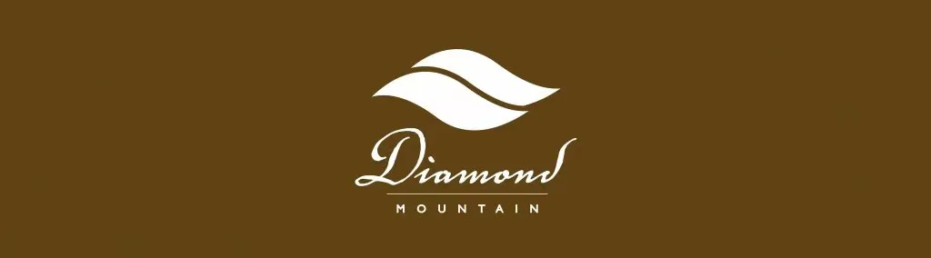 Jade Diamond Mountain Catuai Pour Over Tutorial: A Comprehensive Guide to Enhancing Layered Flavors and Brewing Parameters