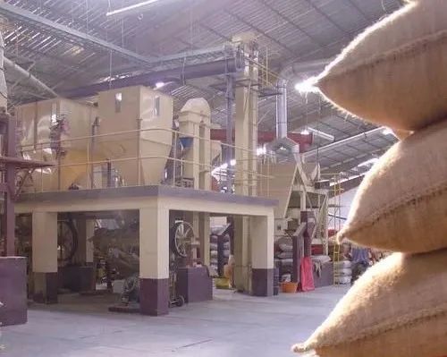 Kenya plans to establish a national coffee brand but faces dual challenges of production and EU regulations