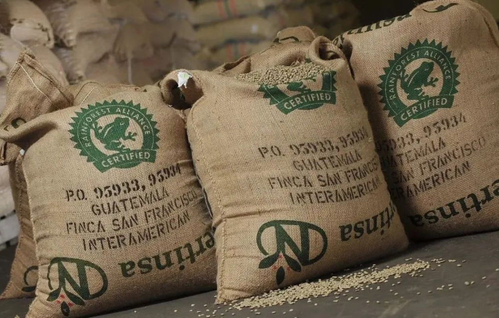 Analysis of Rainforest Alliance Certified Coffee Beans: What Does the Green Frog Logo Represent? Sustainable Cultivation and Flavor Characteristics