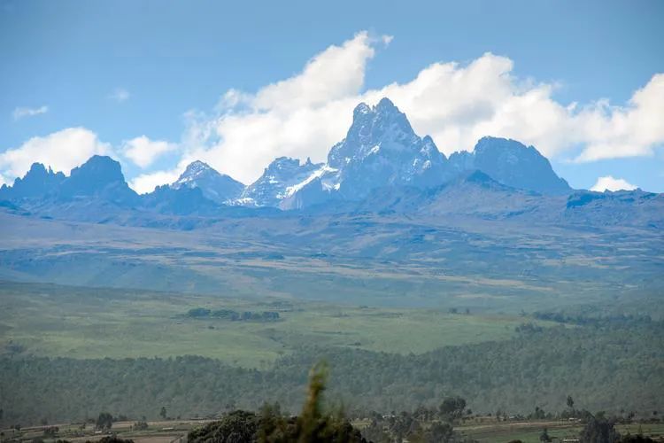 The Secret Behind Kenya Coffee's Bold Acidity: A Complete Guide to the K72 Processing Method and SL28/SL34 Varieties