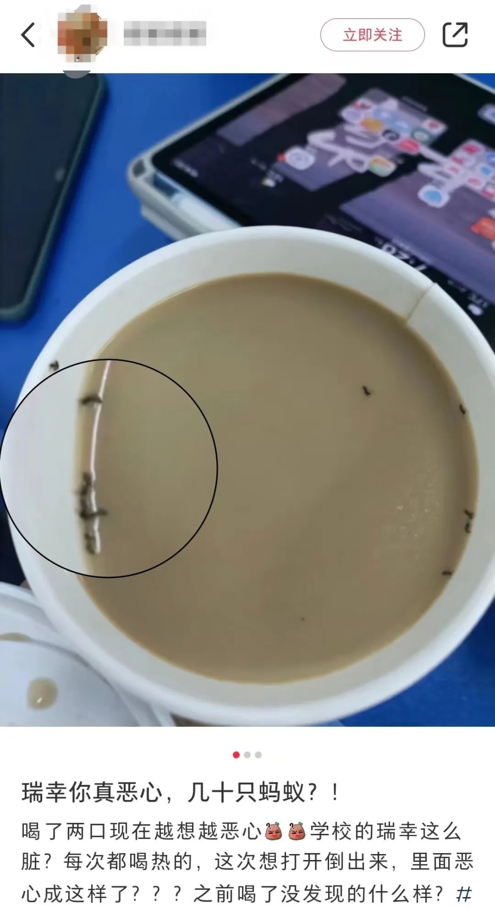 Ants found in Luckin drink: Consumer's complaint leads to compensation of 5 vouchers, sparking controversy