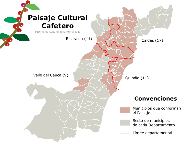 In-depth Analysis of Colombia's Huila Coffee Region: How Terroir Shapes the Captivating Flavors of Specialty Beans