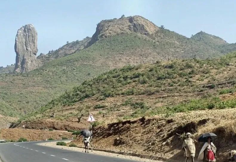 Ethiopian coffee exports are being disrupted！ How are the escalating northern conflicts and the delay of the EUDR affecting the market?