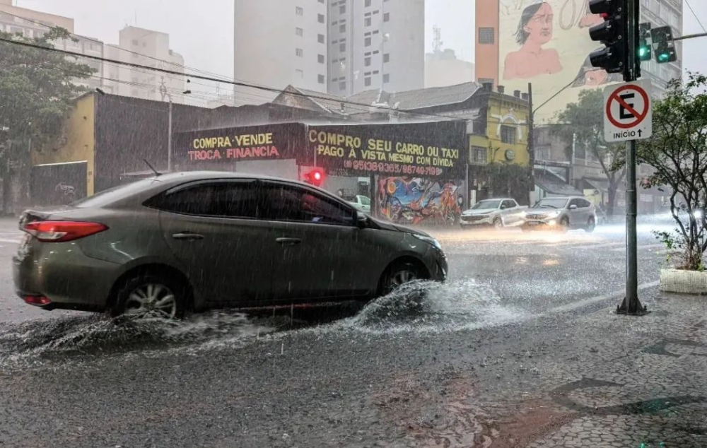 Heavy rains have caused devastating floods in Brazil's São Paulo coffee-growing region. How will the flowering season's encounter with flooding impact global coffee supply?