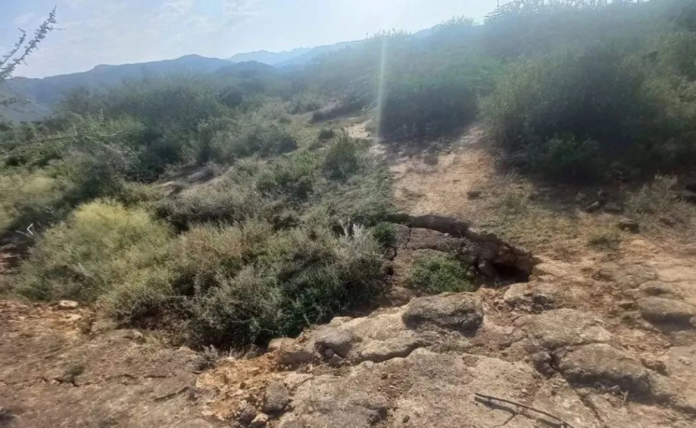 Frequent Earthquakes in Ethiopia’s Awash Region: An Analysis of Coffee Export and Production Risks