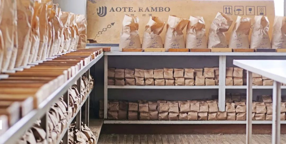 How to understand Kenyan coffee AA and TOP labels? Learn everything from grading to cupping in one go