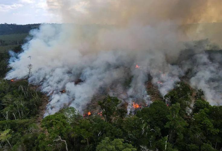 Brazil faces drought and wildfires, posing a challenge of reduced production for the 2024 coffee season