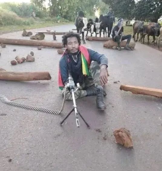 Fires of war rage in Ethiopia: Coffee farmers face dual challenges of rising costs and export compliance