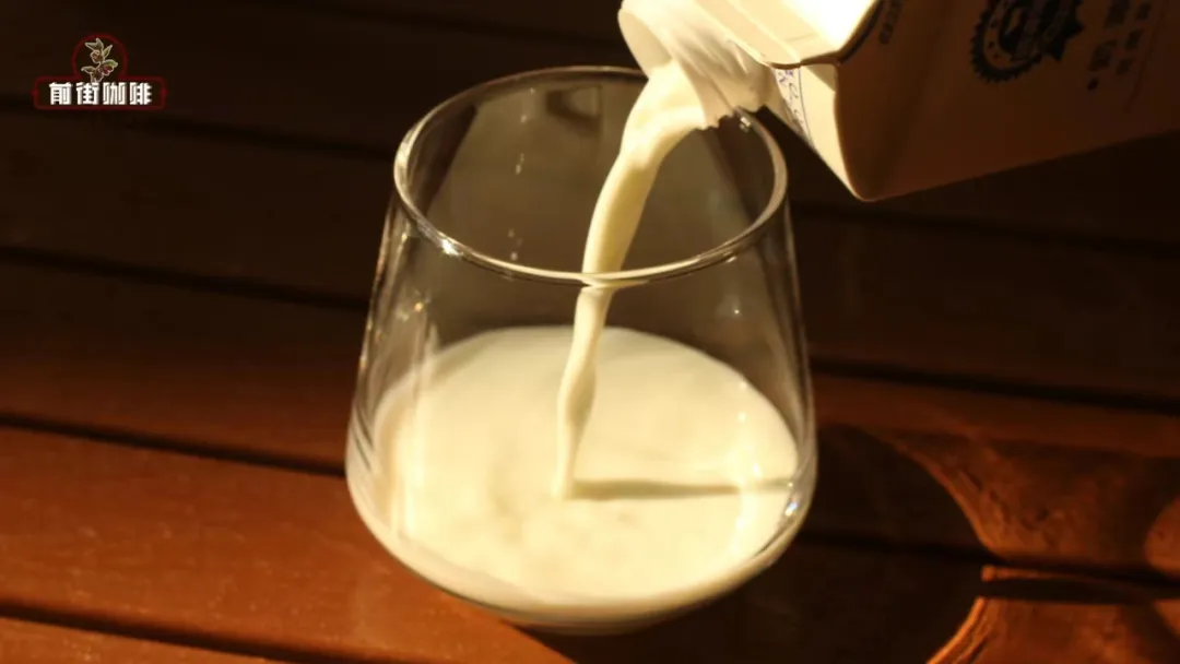 Complete Guide to Making Homemade Hot Latte: From Bean Selection & Milk Pairing to Extraction Ratios, Crafting a Balanced & Rich Flavor