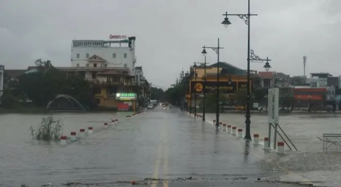 Vietnam's coffee-growing regions hit hard by consecutive typhoons, facing delayed harvests and export challenges