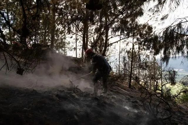 Colombia aims to produce 13 million bags of coffee amid dual challenges of weather and costs