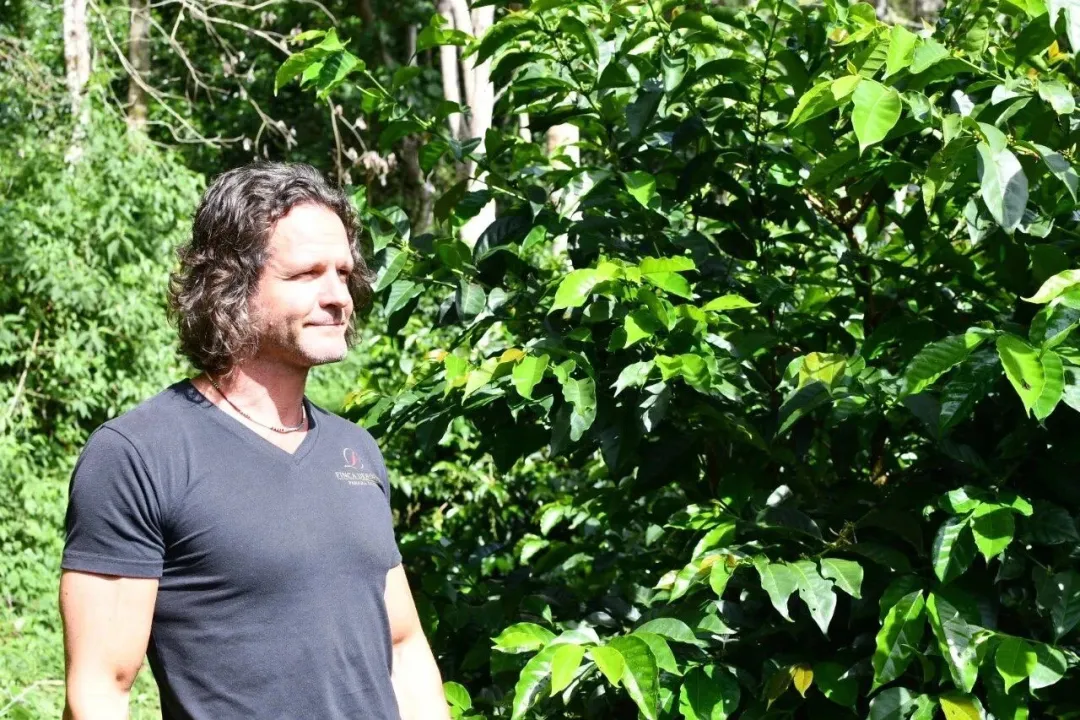Decoding the Flavors of Panama Deborah Geisha: CM Carbonic Maceration Processing and High-Altitude Cultivation in Volcán