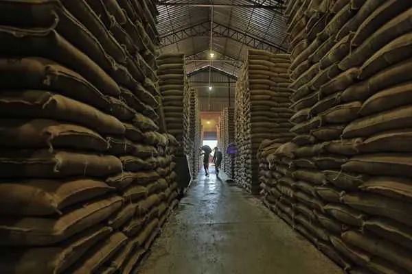 Vietnam's coffee production decline impacts the global supply chain: Three major concerns behind the soaring Robusta prices