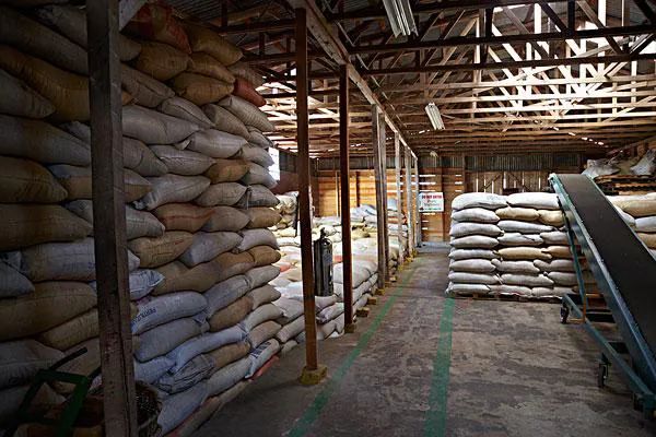 Coffee futures soar past 279 cents per pound – key analysis of price hikes driven by climate, shipping, and policy