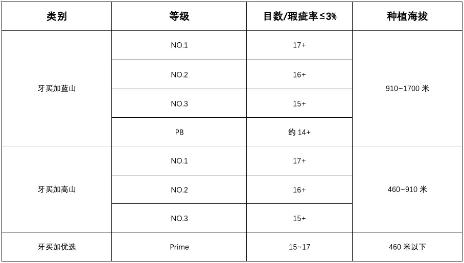 How Are Green Coffee Beans Graded? An Analysis of Screen Size, Altitude, and Defect Rates Behind AA and G1 Grades