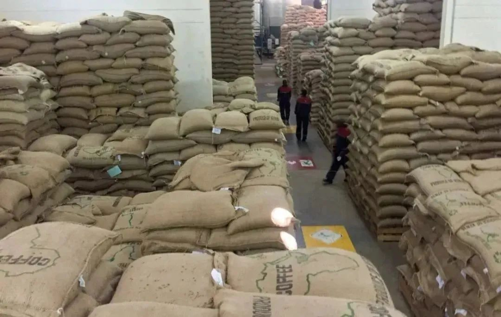 Kenya's port system paralyzed: Coffee exports disrupted, global buyers scramble causing prices to surge