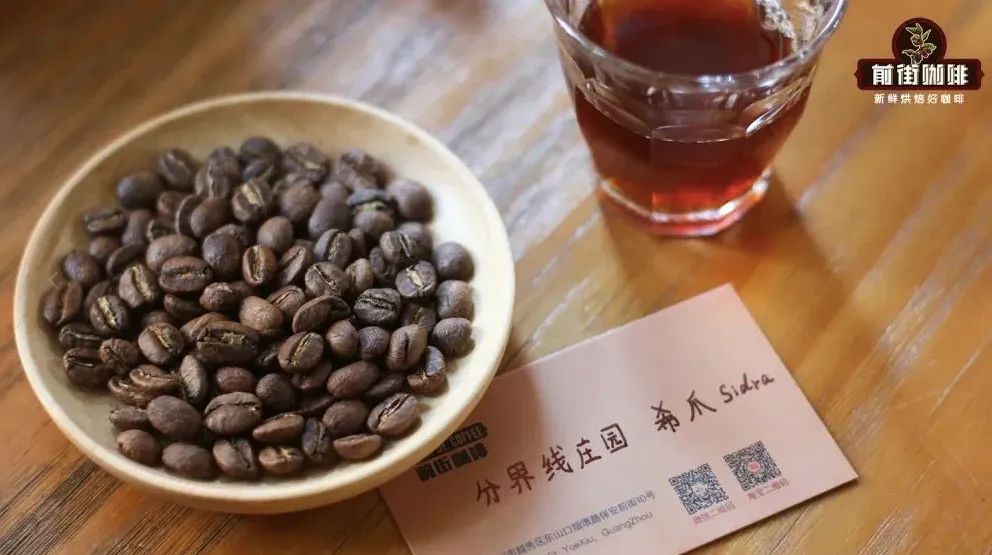 Geisha Coffee Variety Guide: The Secrets Behind Its Birth in Ecuador and Rise to Fame in Colombia