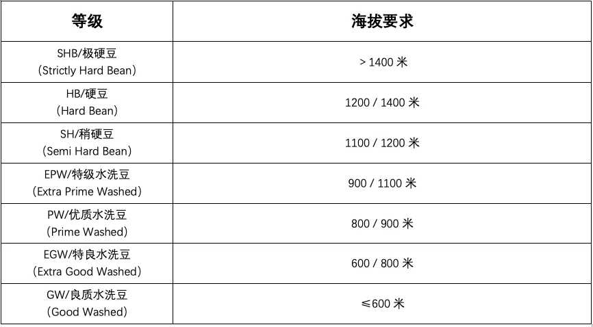 How Are Green Coffee Beans Graded? An Analysis of Screen Size, Altitude, and Defect Rates Behind AA and G1 Grades