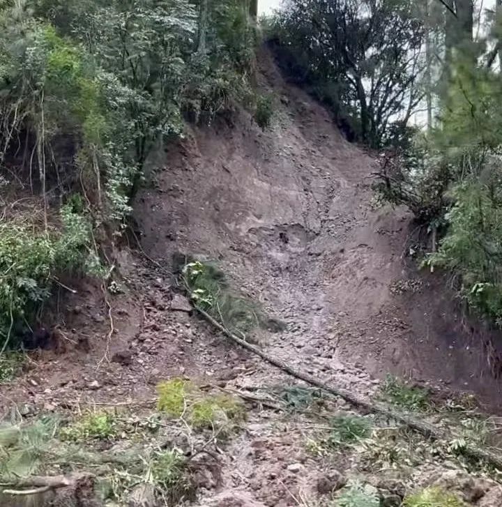 Heavy rains have devastated Panama's Boquete coffee region. What challenges does the harvest season face?