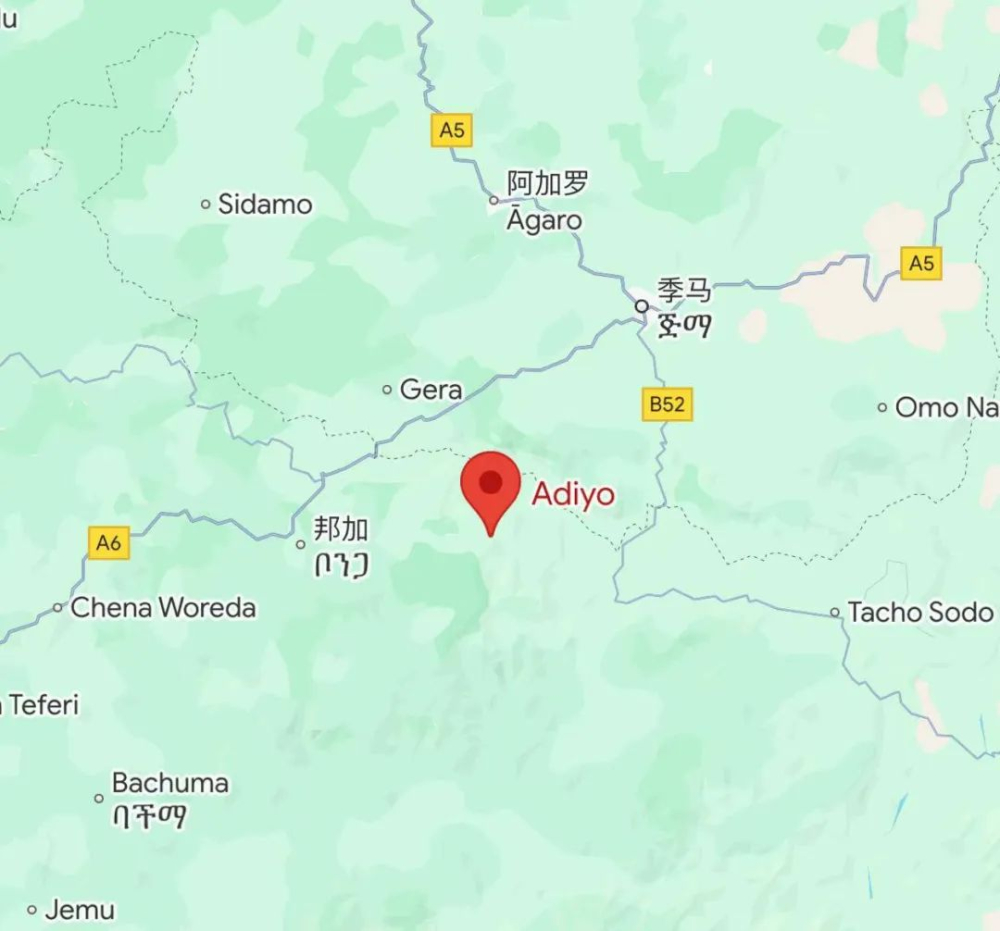 A Comprehensive Analysis of Landslide Disasters and Seasonal Challenges in Ethiopia's Coffee-Growing Regions