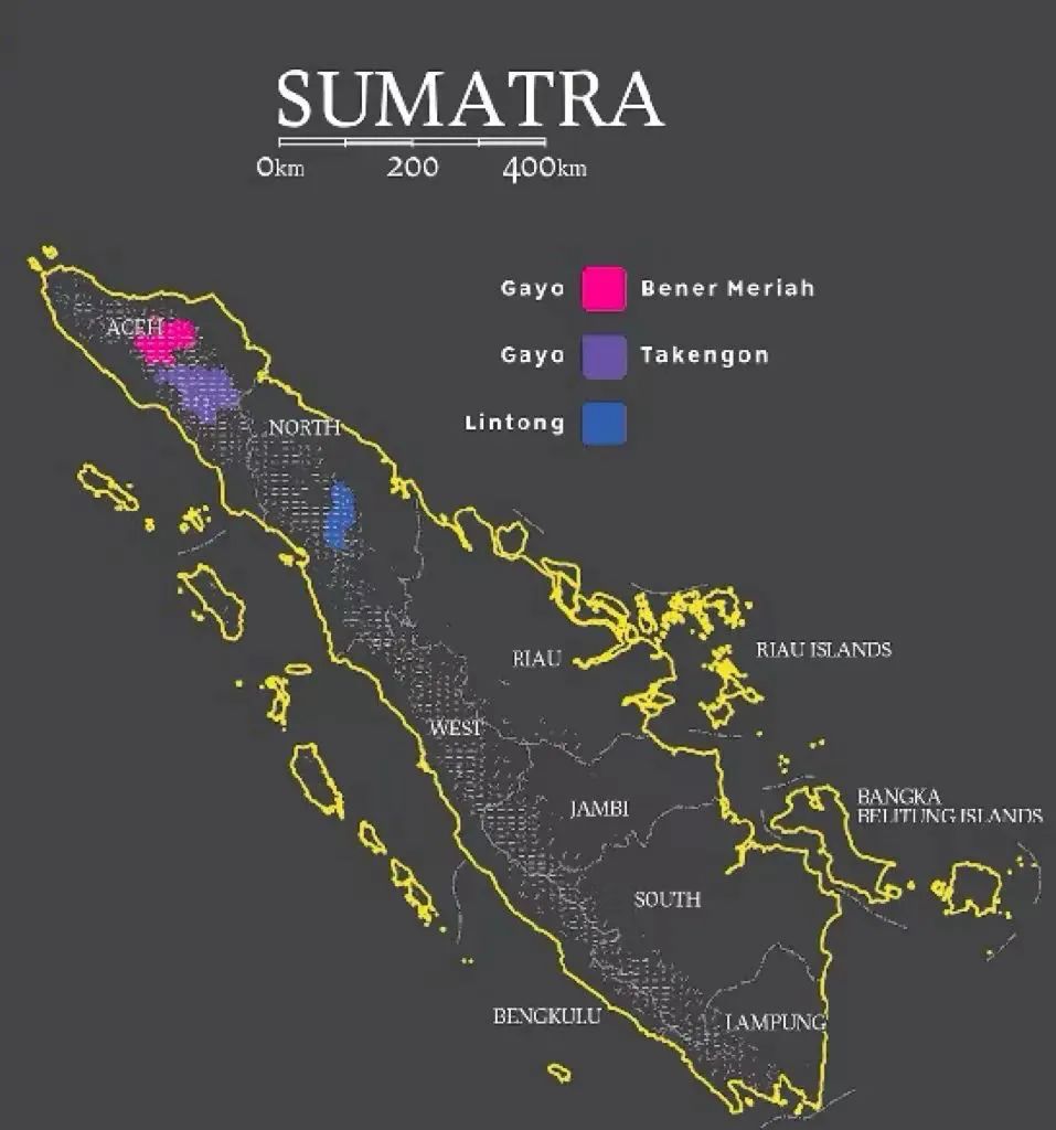 A Comprehensive Guide to Sumatra Mandheling: From Lintong to Gayo, The Secrets Behind the Ateng Variety