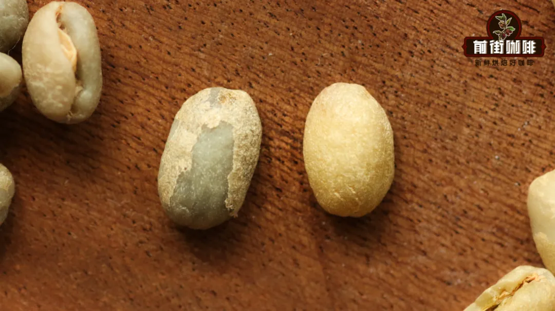 Sun-Dried vs Washed Coffee Processing Methods: Step-by-Step Breakdown, Flavor Differences, and Identification Tips