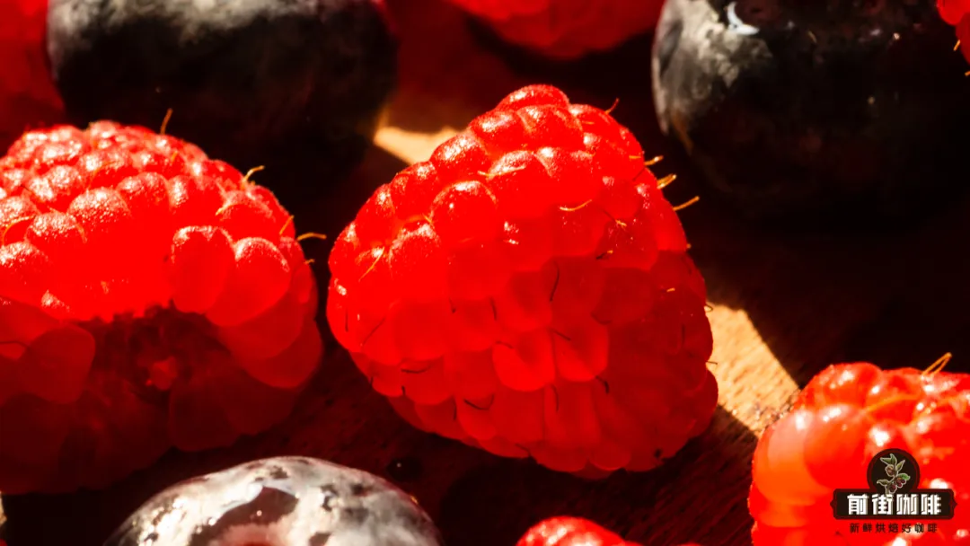 Analysis of Berry Flavors in Pour Over Coffee: What's the Difference Between Berries and Fruits?