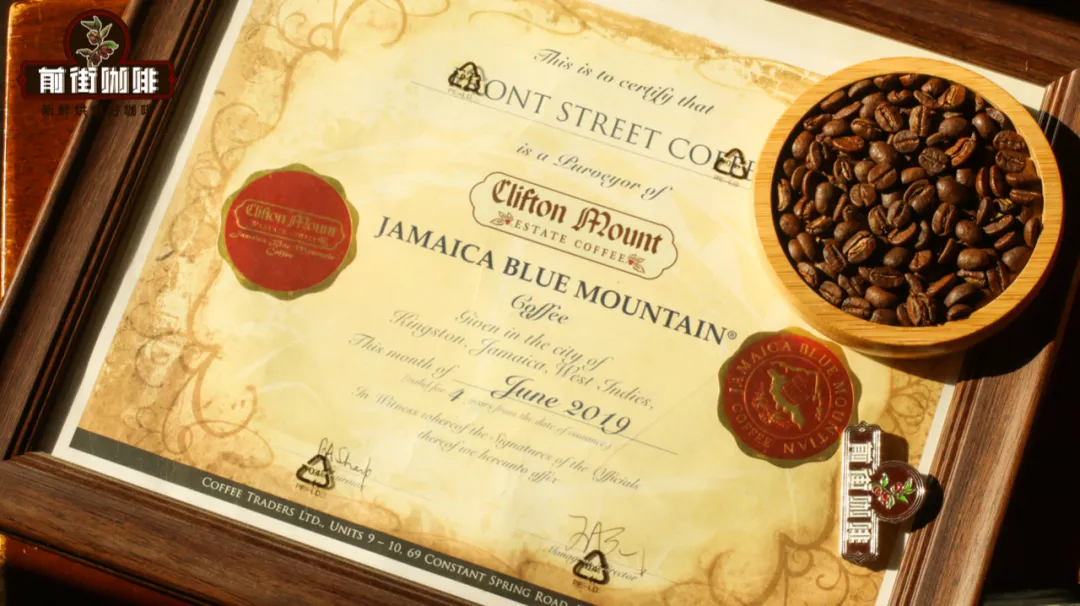 Top 10 Best Coffees in the World | How to Identify Authentic Jamaican Blue Mountain + Complete Buying Price Guide