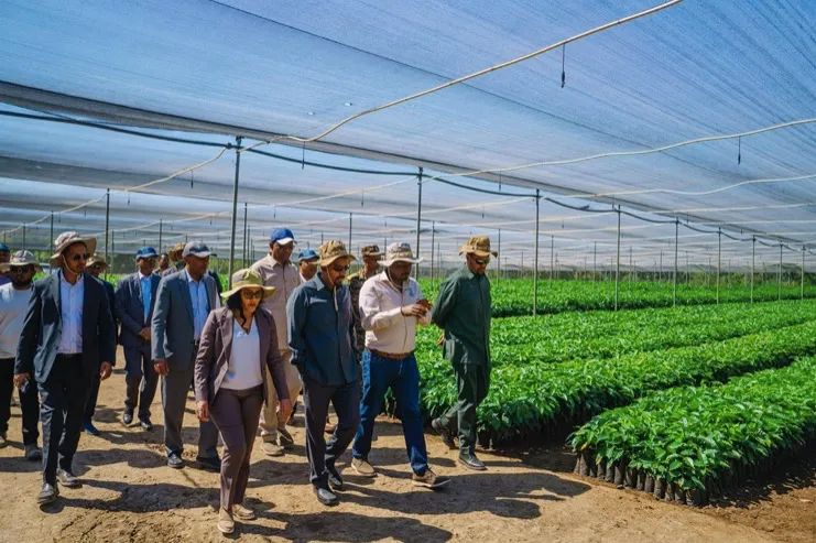 Ethiopia's coffee exports aim for $2 billion, analyzing new developments and challenges in the 2024/25 fiscal year